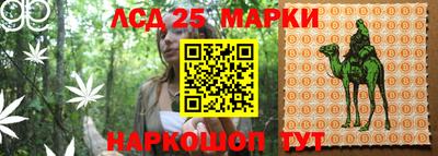 молекула духа Бердск