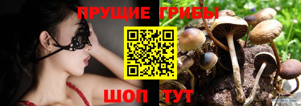 Галлюциногенные грибы Cubensis  Вход с VPN  Кизляр 